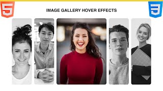 Stunning HTML & CSS Card Animation Tutorial on Hover