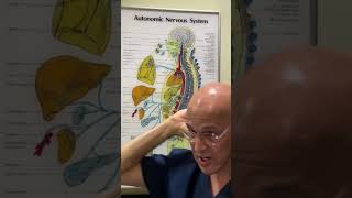 Say Goodbye to Headaches! Dr. Mandell
