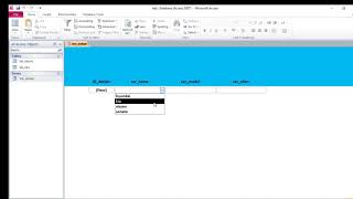 MS Access : only display new records in continuous form ( Data Entry )
