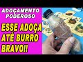 🟢 ADOÇAMENTO PODEROSO! ADOÇA ATÉ BURRO BRAVO MUITO RÁPIDO!! ELE FICA GRUDADO EM VOCÊ!