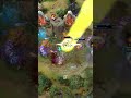 The Wet Dream of every Sand King Player🔥#dota2 #dota2highlights #dota2reels #rampage #sandking