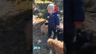 @Proof🙎 babies playing with puppies ⛹️when to get a puppy with a baby🕴️baby 😍🤺 play with toys#shorts