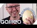 Eklig oder Delikatesse? Wie schmecken die außergewöhnlichsten Eier der Welt? | Galileo | ProSieben