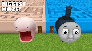 What is the BIGGEST MAZE  TO CHOOSE WORM OR THOMAS MAZE in Minecraft - Gameplay - Coffin Meme