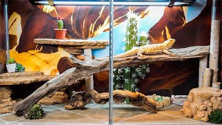 Building a Bearded Dragon Tank