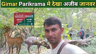 Girnar Parikrama | Bordevi Junagadh | Bhavnath Junagadh live | Vlog