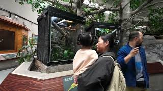 A Visit To The Taipei Zoo