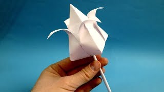 how to make paper tulip, paper tulip flower