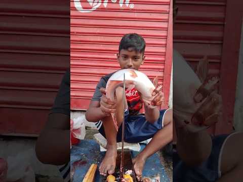 Amazing Pangash Fish Cutting Skill Shorts Ffbd Fish Cutting Bd Youtube Amazing Pangash Fish Cutting Skill Shorts Ffbd Fish Cutting Bd Youtube