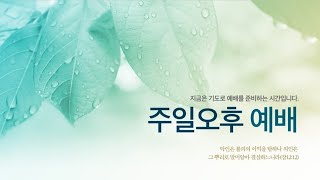 20241110 오케이교회 | 주일오후예배 | 마지막 때 성도가 힘써야 할 일 | 베드로전서 4장 7-11절 | 박보광 목사