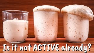 Why Do You Have to Activate Active Dry Yeast?