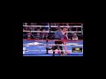 Canelo Alvarez Knocks Out Amir Khan Cold