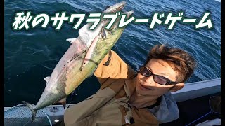 秋のサワラシーズン