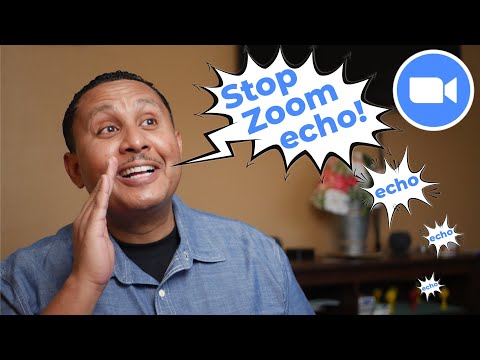 How do you stop zoom on Echo?