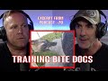 How to Train Protection Dogs to BITE - Police Dogs, Personal Protection, Sport Dogs