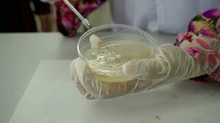 EXPERIMENT 7: DIVERSITY OF BACTERIA SB025