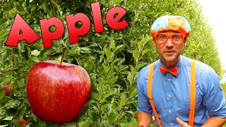 Blippi Visits an Apple Factory | Healthy Eating Videos For Kids | Educational Videos For Toddlers