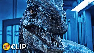 Blue Cage Escape Scene | Jurassic World Fallen Kingdom (2018) Movie Clip HD 4K