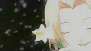 Naruto And Sakura - Shall Never Surrender
