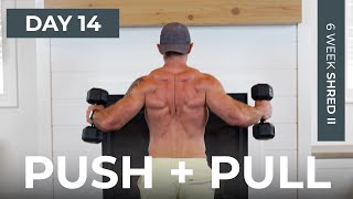Day 14: 30 Min PUSH & PULL Dumbbell Workout [Chest & Back]// 6WS2