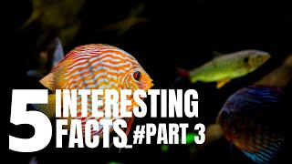 5 INTERESING FACTS  #Part3  #Facts #Top5 #Top10 #Topfacts #Shorts