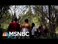 Chris Hayes On 'Despicable' New President Donald Trump Policy | All In | MSNBC