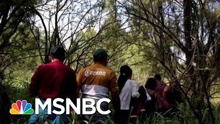 Chris Hayes On 'Despicable' New President Donald Trump Policy | All In | MSNBC