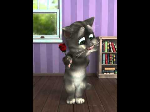Talking Tom Wants To Give You A Flower! HD Talking Tom Wants To Give You A Flower! HD