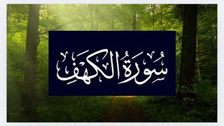 ما تيسر من سورة الكهف | تلاوة خاشعة | القارئ الصافى عيد