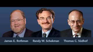 “2013’s Nobel Prize Winners” - The Connectome Podcast, Episode 11 - Rothman, Schekman & Südhof