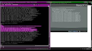 ReactOS *Experiment* Part 2: KDBG Kernel Debugger and WinDbg Break-In ☢️☢️
