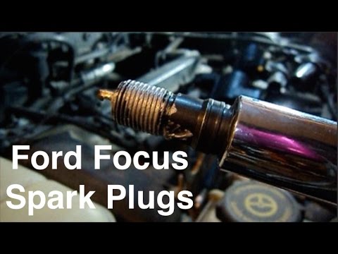 2000-2017 Ford Focus Spark Plugs 2000-2017 Ford Focus Spark Plugs