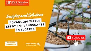 Advancing Water-Efficient Landscaping in Florida