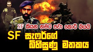 SF කියන නමට පවා කොටි බයයි...SF සැෆර්ගේ බිහිසුණු මතකය | Nalin Rajapaksha