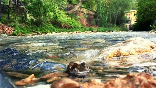 Relaxing River Sounds (HD) | Nature Sounds Waterfall River Relaxation Meditation