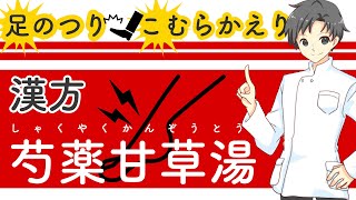 【芍薬甘草湯】すぐに治したい！防ぎたい！「こむら返り」に使う漢方薬の効果・特徴・注意点【薬剤師が解説】