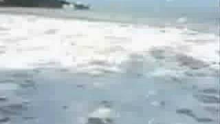tsunami penang