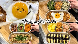 [Lunchbox vlog] I gave my soul to my lunchbox. Korean office worker packing lunch.🍱