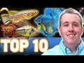 MY TOP 10 FISH FOR A 10 GALLON AQUARIUM