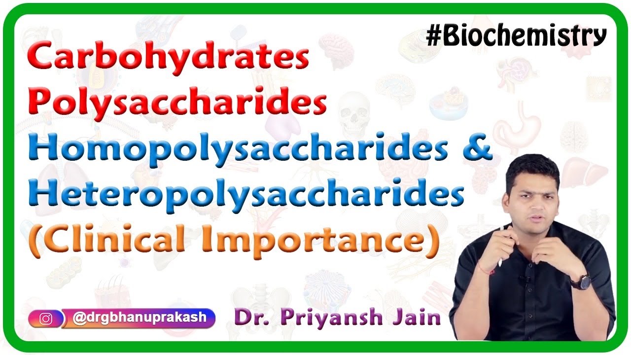Carbohydrates Polysaccharides Homopolysaccharides