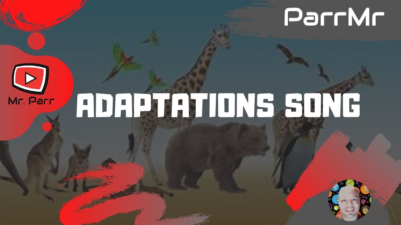 Adaptations Song Youtube