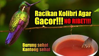 Racikan Nektar Untuk Kolibri Agar Gacor