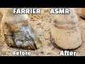 Farrier Horse Hoof Repair Horseshoeing Restoration -Oddly Satisfying