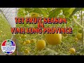 TET FRUIT SEASON IN VINH LONG PROVINCE