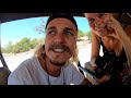 Here's what you can expect on a safari in Botswana