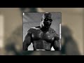 Mike Tyson X Kevin Randleman X Yoel Romero X Protection Charm (slowed)