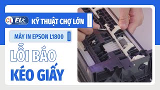 TỔNG HỢP LỖI MÁY IN KHÔNG KÉO ĐƯỢC GIẤY TRÊN MÁY IN MÀU EPSON L1800