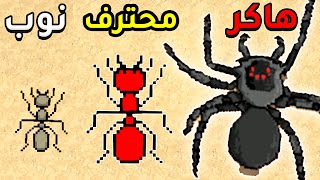 محاكي النملة - Pocket Ants: Colony Simulator