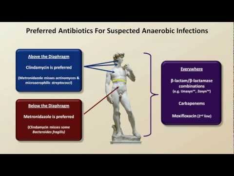 Which antibiotics kill anaerobic bacteria?