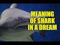 Meaning of Shark in a dream - Dreams About Shark